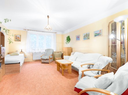 Prodej bytu, 1+1, 45 m²