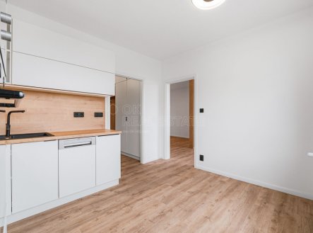 Pronájem bytu, 1+1, 41 m²