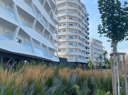 Pronájem bytu, 1+kk, 33 m²