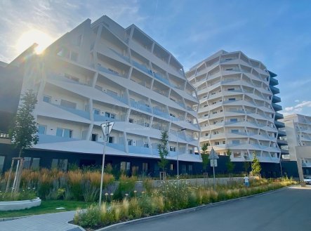 Pronájem bytu, 1+kk, 33 m²