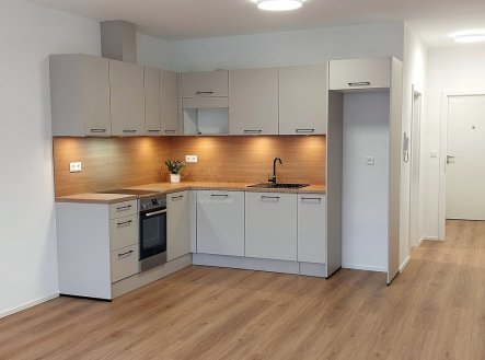 Pronájem bytu, 1+kk, 94 m²