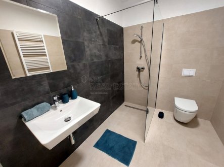 Pronájem bytu, 1+kk, 94 m²