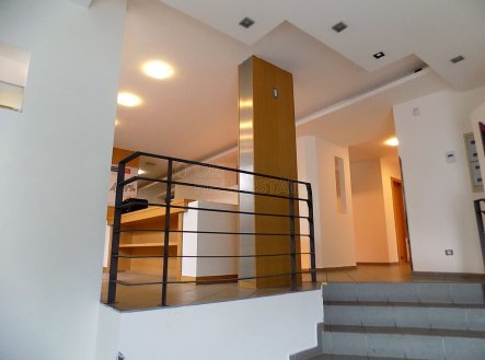 Pronájem kanceláře, 250 m²