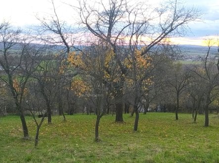 Prodej pozemku, zahrada, 3 492 m²