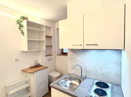 Pronájem bytu, 1+kk, 10 m²