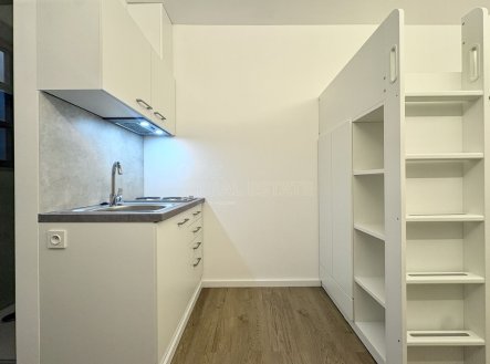 Pronájem bytu, 1+kk, 10 m²