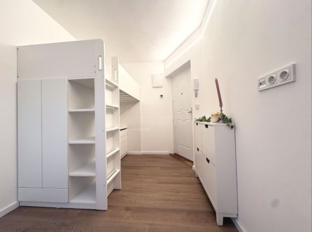 Pronájem bytu, 1+kk, 10 m²