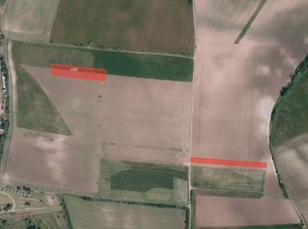 Prodej pozemku, zemědělská půda, 6 298 m²
