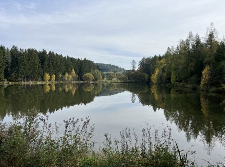Prodej pozemku, trvalý travní porost, 3 653 m²