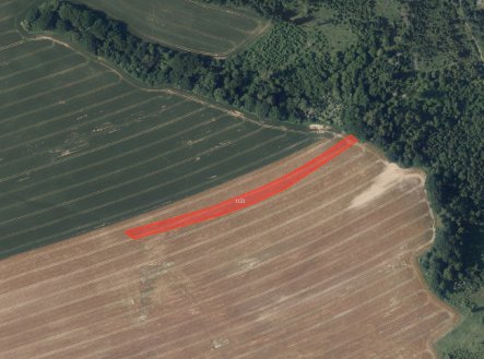 fotografie | Prodej - pozemek, zemědělská půda, 4 539 m²