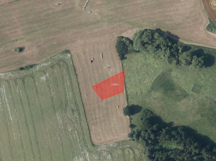 Prodej pozemku, zemědělská půda, 4 539 m²