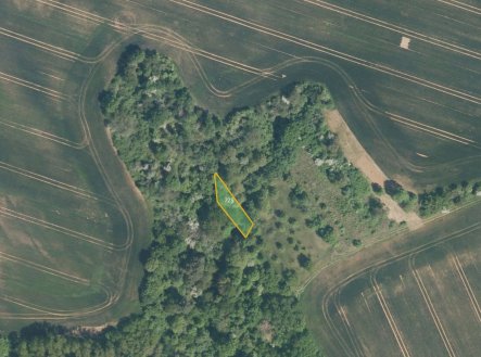 Prodej pozemku, zemědělská půda, 7 416 m²