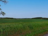 Prodej pozemku, zemědělská půda, 10 689 m²