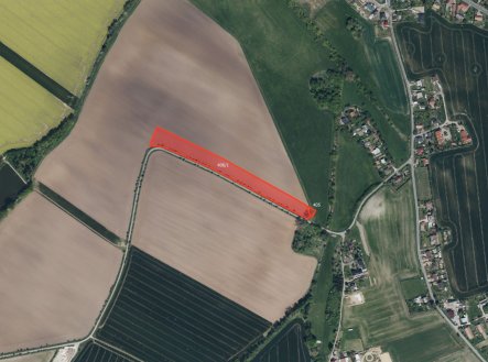 Prodej pozemku, zemědělská půda, 10 817 m²