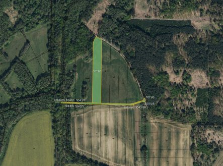Prodej pozemku, trvalý travní porost, 10 075 m²