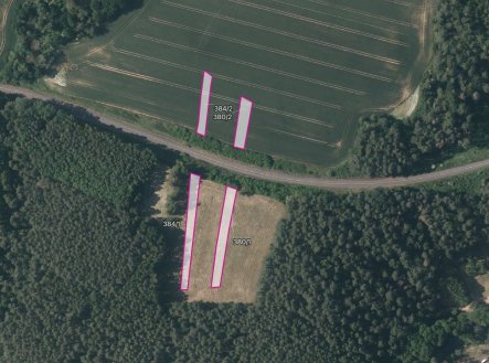 Prodej pozemku, zemědělská půda, 11 461 m²