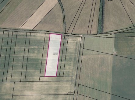 Prodej pozemku, zemědělská půda, 26 987 m²