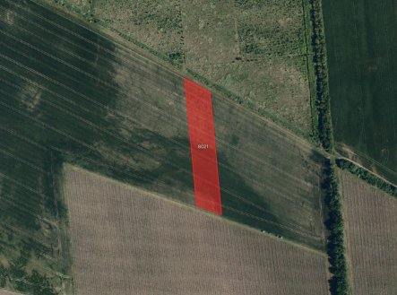 Prodej pozemku, zemědělská půda, 50 076 m²