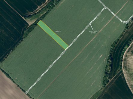 fotografie | Prodej - pozemek, zemědělská půda, 2 000 m²