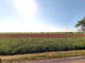 Prodej - pozemek, zemědělská půda, 4 388 m²