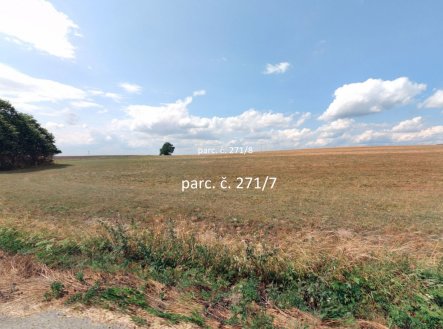 Prodej pozemku, trvalý travní porost, 30 434 m²