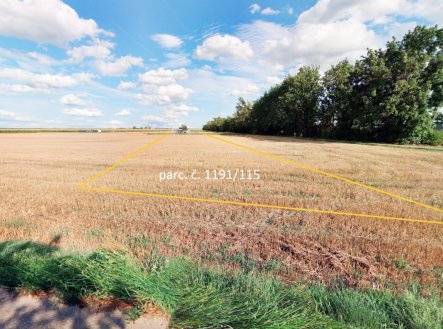 fotografie | Prodej - pozemek, zemědělská půda, 7 872 m²