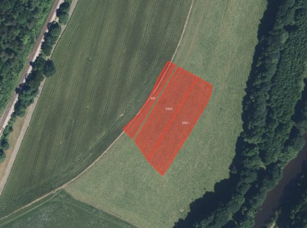 Prodej pozemku, trvalý travní porost, 6 965 m²