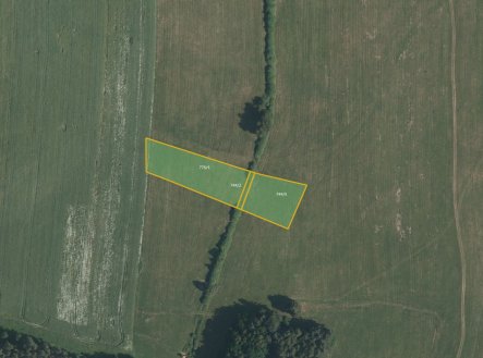 Prodej pozemku, trvalý travní porost, 5 033 m²