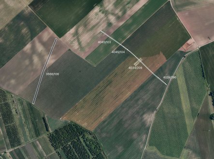 Prodej pozemku, zemědělská půda, 14 563 m²