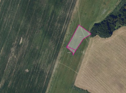 Prodej pozemku, zemědělská půda, 9 777 m²