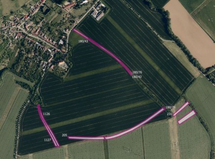 Prodej pozemku, zemědělská půda, 7 170 m²