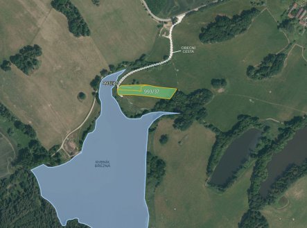 Prodej pozemku, zemědělská půda, 4 819 m²