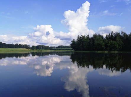 Prodej pozemku, zemědělská půda, 4 819 m²
