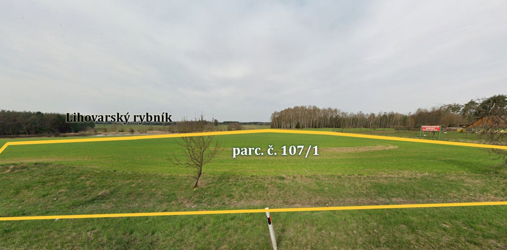 fotografie
