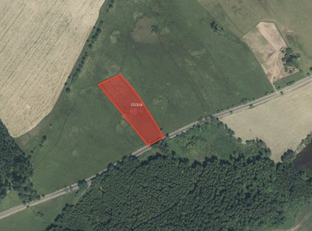 Prodej pozemku, trvalý travní porost, 5 991 m²