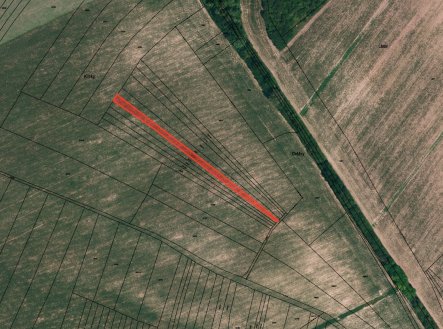 Prodej pozemku, zemědělská půda, 4 946 m²