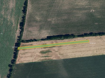 Prodej pozemku, zemědělská půda, 6 063 m²