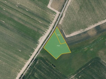 Prodej pozemku, trvalý travní porost, 6 872 m²