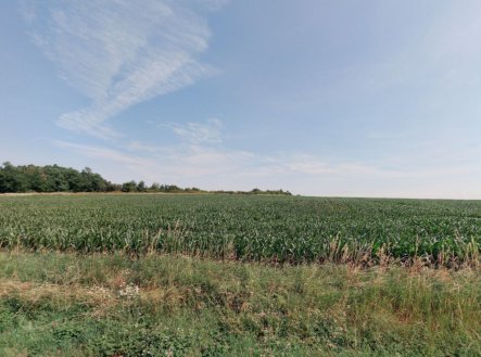 Prodej pozemku, trvalý travní porost, 12 517 m²