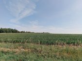 Prodej pozemku, trvalý travní porost, 12 517 m²