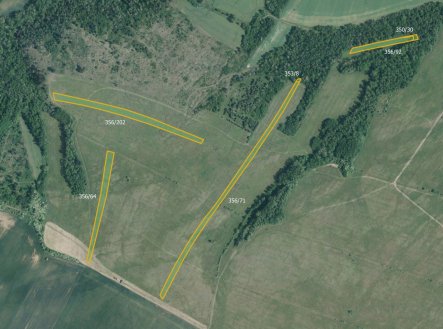 Prodej pozemku, trvalý travní porost, 9 029 m²