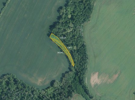 Prodej pozemku, trvalý travní porost, 9 029 m²