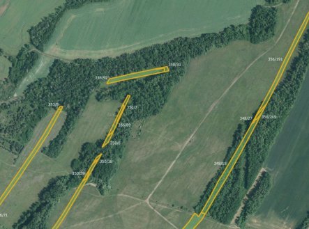 Prodej pozemku, trvalý travní porost, 21 546 m²