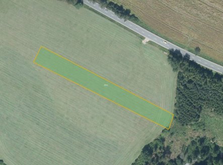 Prodej pozemku, trvalý travní porost, 4 111 m²