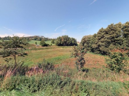 Prodej pozemku, trvalý travní porost, 5 986 m²