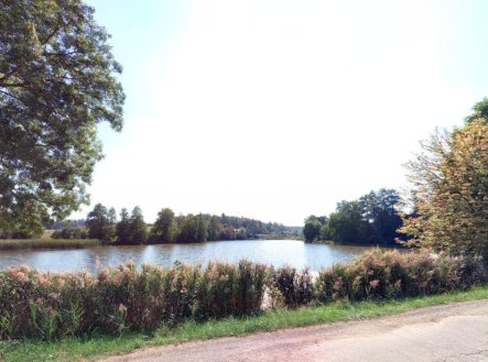 Prodej pozemku, trvalý travní porost, 5 986 m²