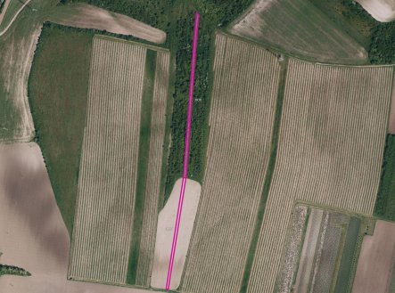 Prodej pozemku, zemědělská půda, 5 778 m²