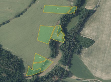 Prodej pozemku, zemědělská půda, 10 339 m²