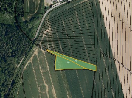 Prodej pozemku, zemědělská půda, 4 471 m²