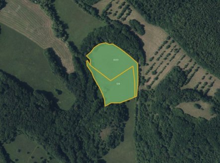 Prodej pozemku, trvalý travní porost, 10 632 m²